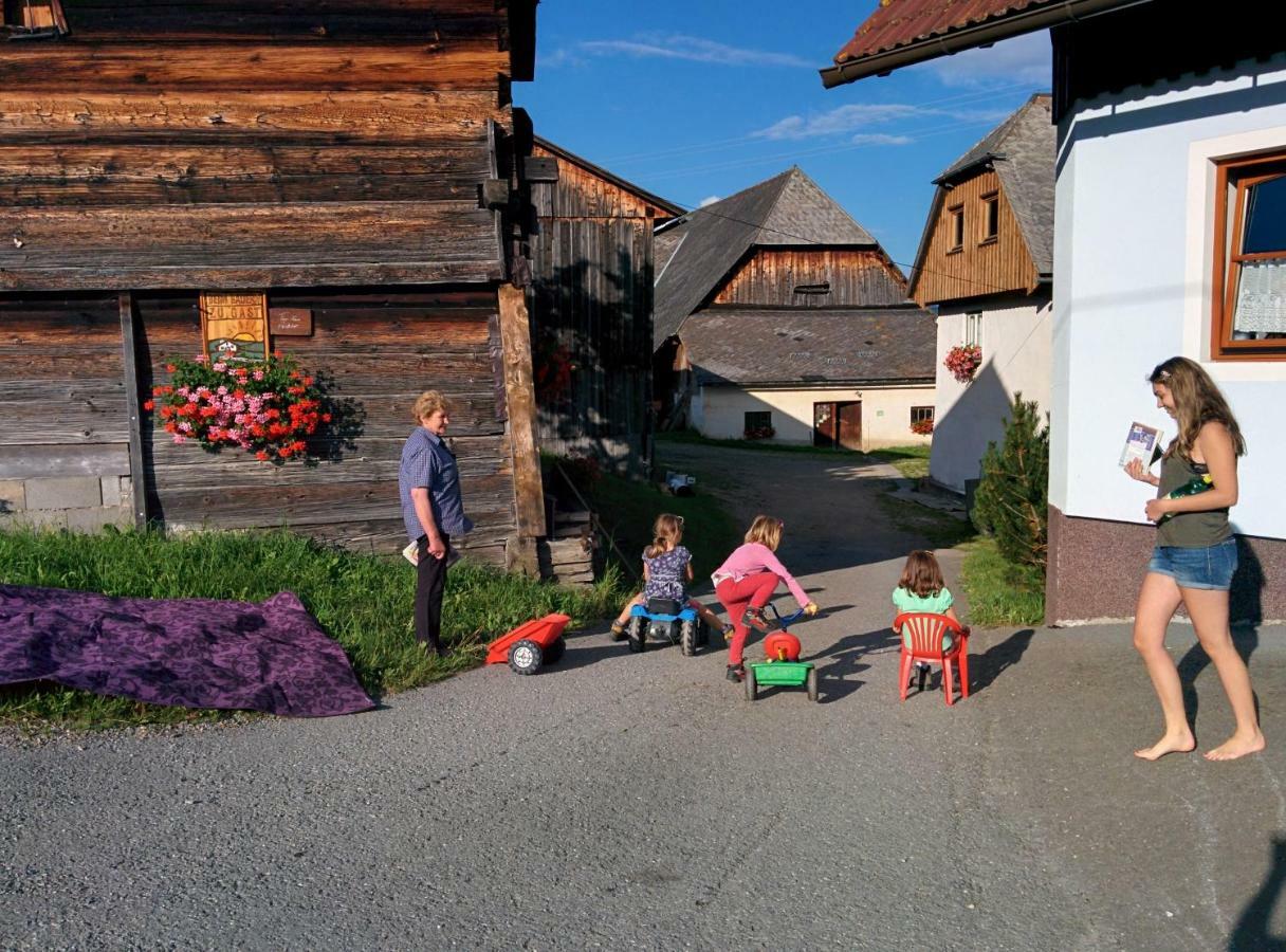 Вилла Rettlhof Санкт-Петер-ам-Каммерсберг Экстерьер фото