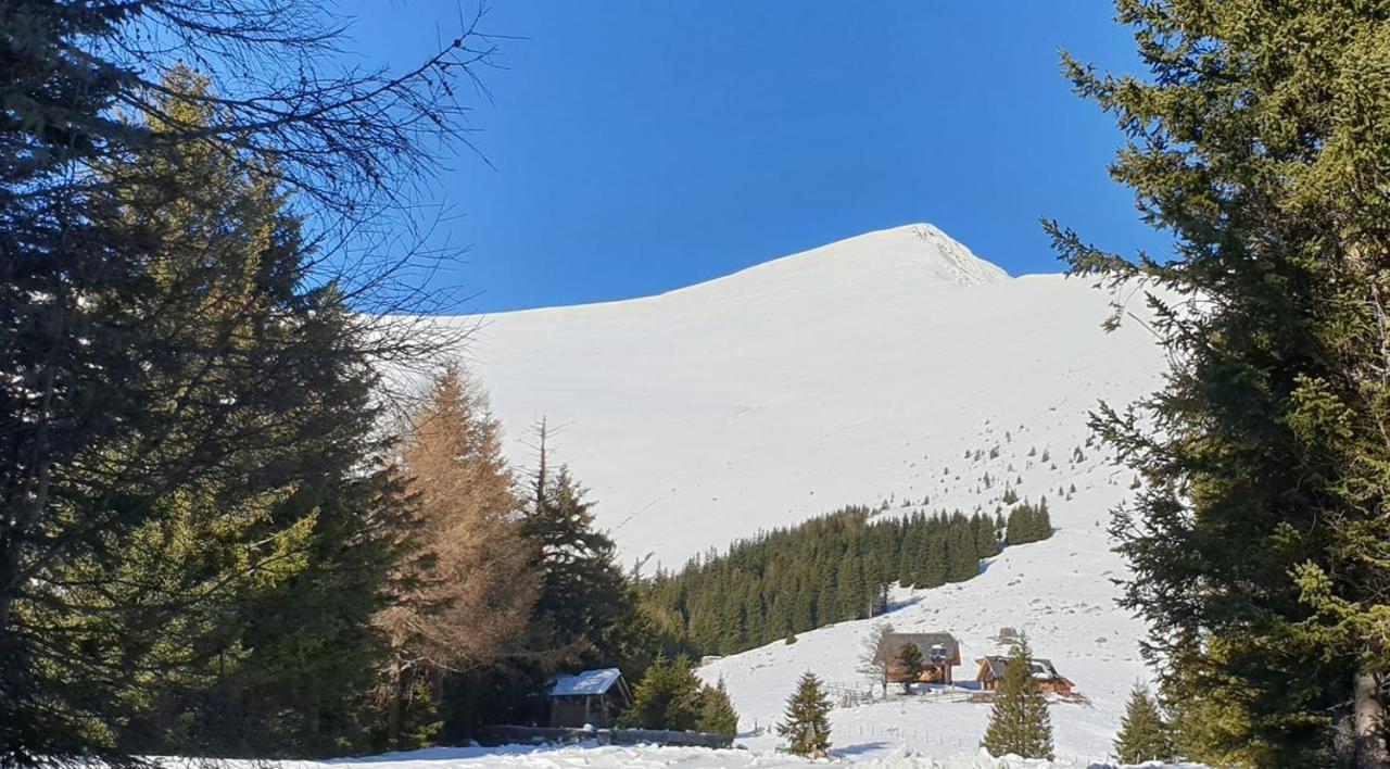 Вилла Rettlhof Санкт-Петер-ам-Каммерсберг Экстерьер фото